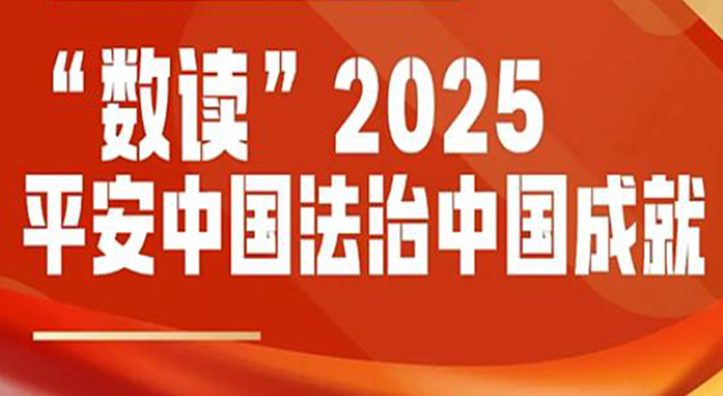 ɹһɹ��2025��ƽ���й������й��ɼ���